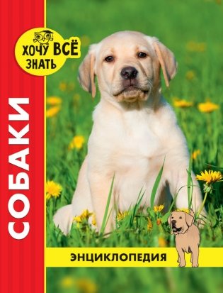 Энциклопедия. Собаки фото книги