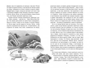 Рождённый бежать фото книги 3