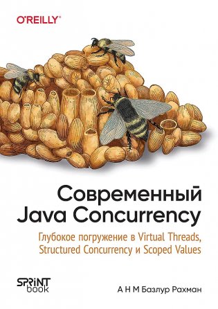 Современный Java Concurrency. Глубокое погружение в Virtual Threads, Structured Concurrency и Scoped Values фото книги