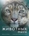 Огромная энциклопедия животных мира фото книги маленькое 2