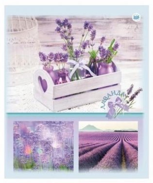 Тетрадь общая (скоба) 170х205, 4+0, СЛ, клетка, 96 Природа 13 Лаванда фото книги